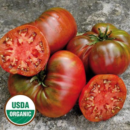 Black Sea Man Tomato Vegetable Seeds AS2324