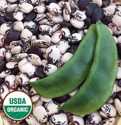 Wick's Lima Bean Vegetable Seeds AS2181