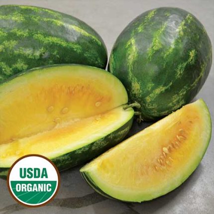 Borrie's Yellow Watermelon Vegetable Seeds AS2340