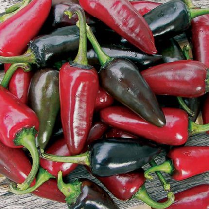 Black Hungarian Pepper Vegetable Seeds AS2237