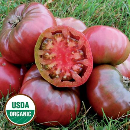 Cherokee Purple Tomato Vegetable Seeds AS2328