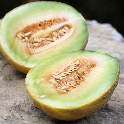 Fordhook Gem Melon Vegetable Seeds AS2192