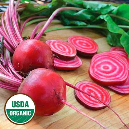 Chioggia Beet Vegetable Seeds AS2037