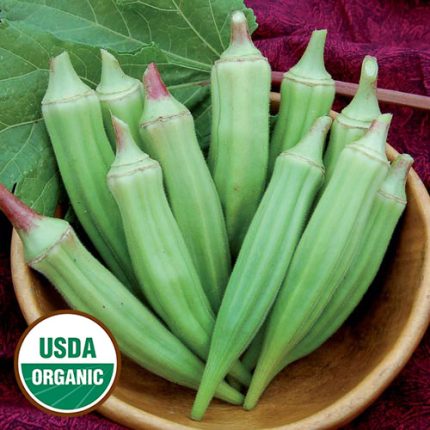 Clemson Spineless Okra Vegetable Seeds AS2208