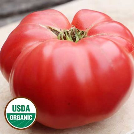 German Pink Tomato Vegetable Seeds AS2519