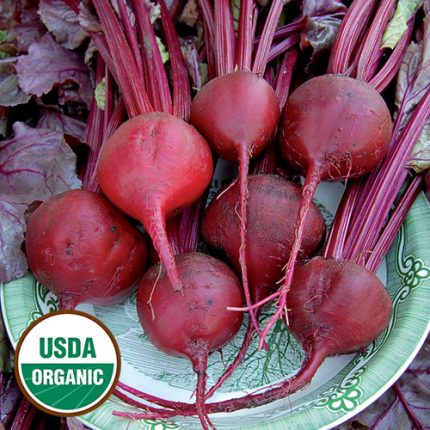 Bull's Blood Beet Vegetable Seeds AS2035