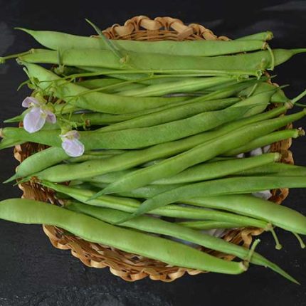 Climbing French Bean Vegetable Seeds AS2017