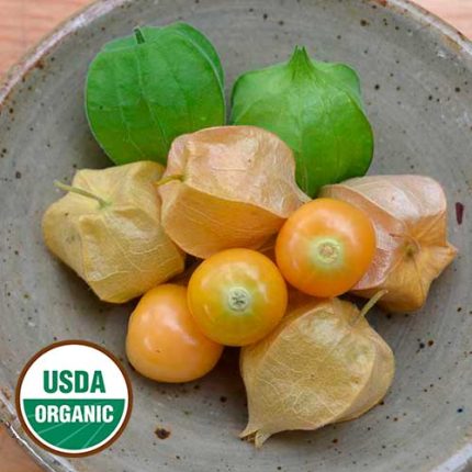 Aunt Molly's Ground Cherry Vegetable Seeds AS2137