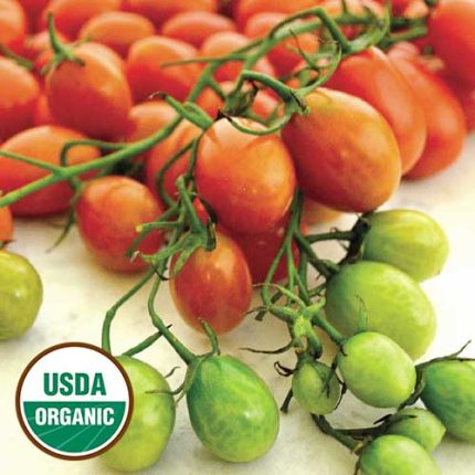 Cherry Roma Tomato Vegetable Seeds AS2329