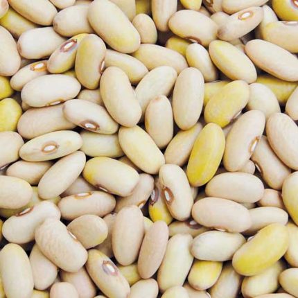 Arikara Yellow Bean Vegetable Seeds AS2010