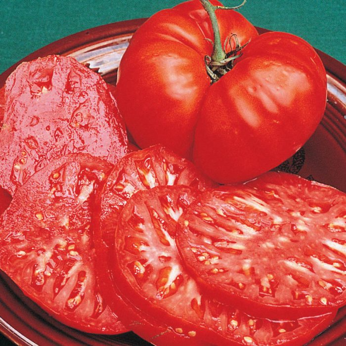 Brandywine Tomato