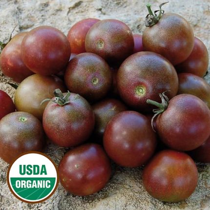 Black Cherry Tomato Vegetable Seeds AS2320