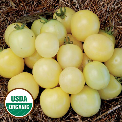 White Cherry Tomato Vegetable Seeds AS2569