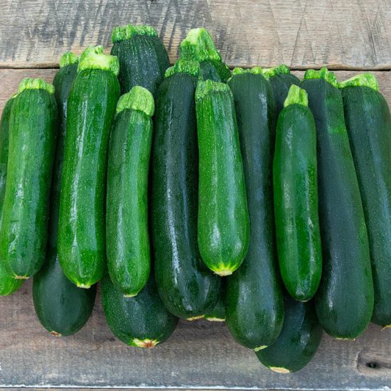 Green Star Hybrid Summer Squash Seed