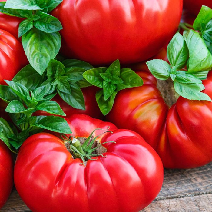 Buffalosteak Hybrid Tomato