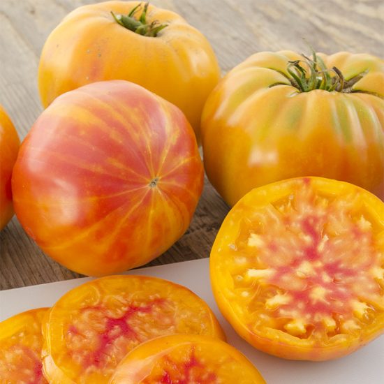 Big Rainbow Tomato