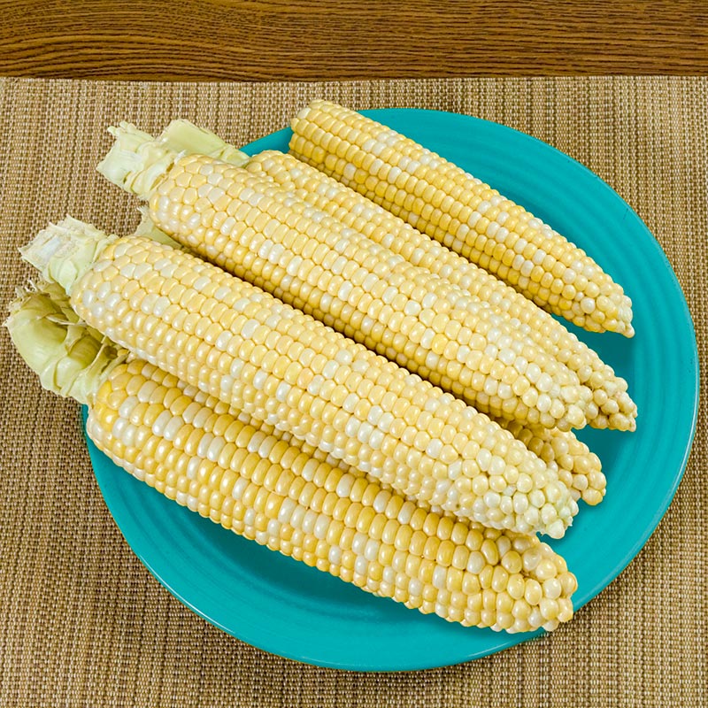 That's Delicious! Hybrid Sweet Corn Seed (sh2)