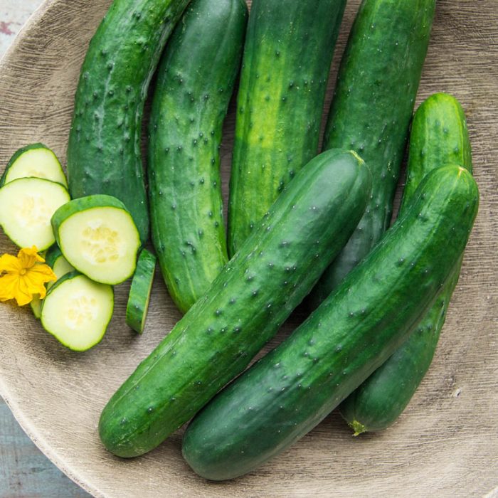 Americana Slicing Hybrid Cucumber Seed