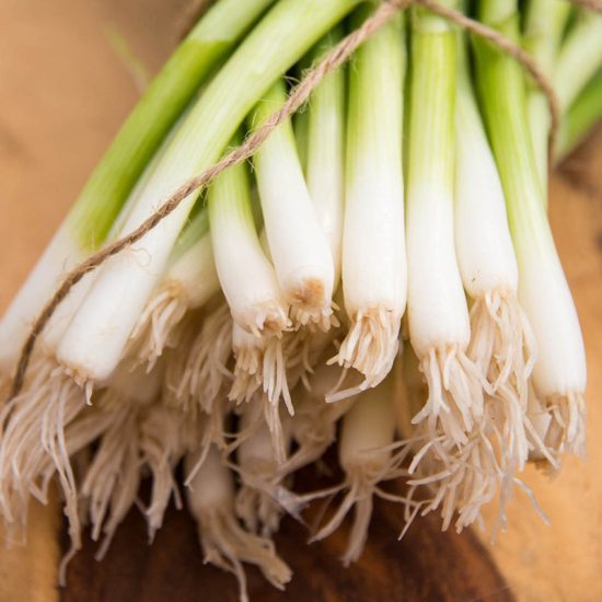 Evergreen White Bunching Onion Seed