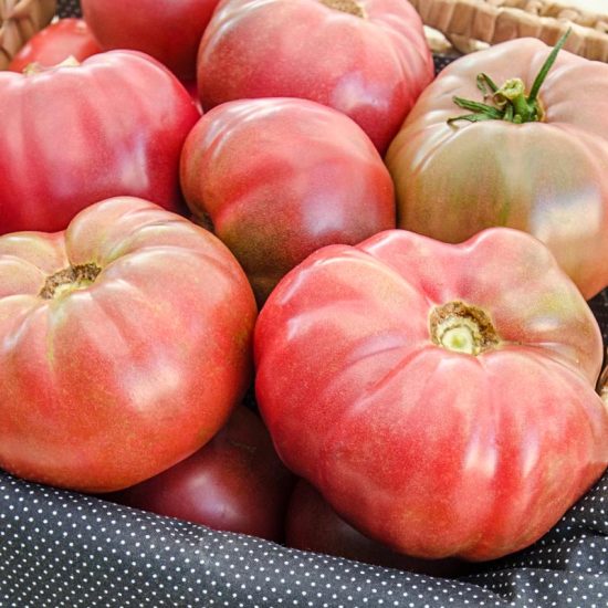 Black Krim Tomato