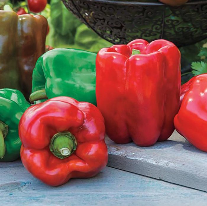 Giant II Hybrid Sweet Pepper