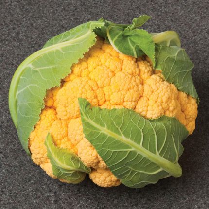 Flame Star Hybrid Cauliflower