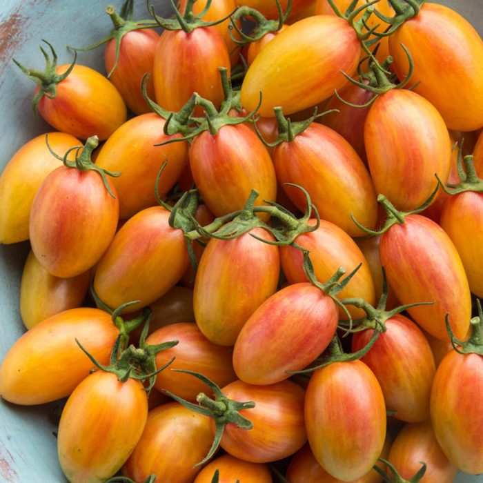 Artisan Blush Tomato