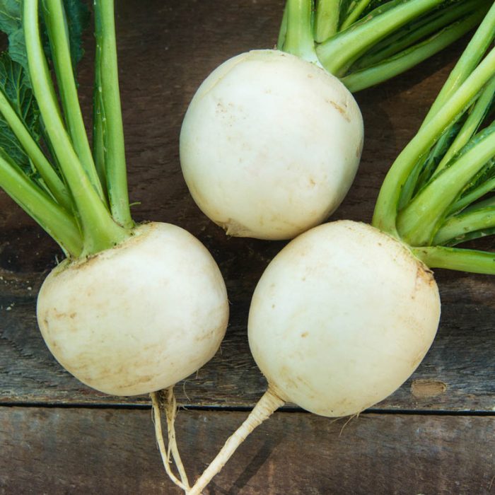 Amelie Hybrid Turnip