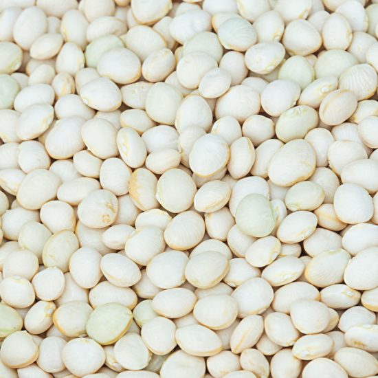 Dixie White Butterpea Seed