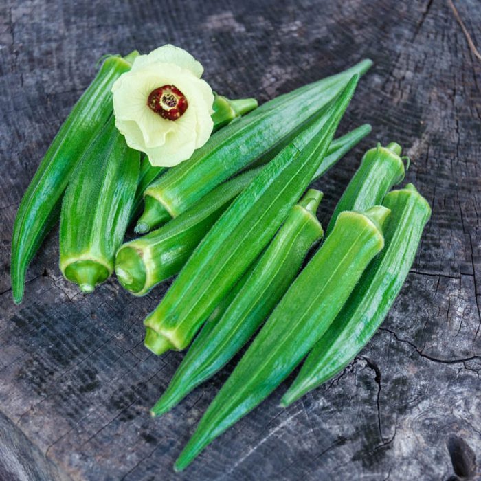 Gumbo Hybrid Okra Seed